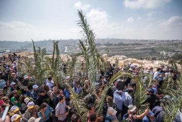 Jerusalem: On Palm Sunday, thousands gathered and marched from the Mount of Olives down to the Old City of Jerusalem, following in the footsteps of Jesus, as he journeyed to Jerusalem.