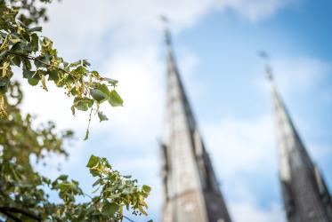 Green leaves depicted in front of blurry church towers and blue sky. 